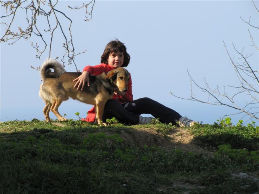 חצי האי פליון